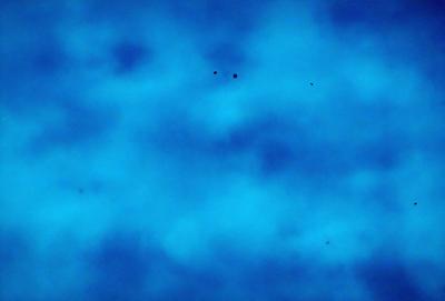 The primary subject of the image is the sky, which is a deep blue color. The setting is a cloudy day, with a few dots scattered throughout the sky. The visual style is a natural, outdoor scene. The colors and mood of the image are serene and peaceful, with the deep blue sky and the gentle presence of the dots creating a calming atmosphere.