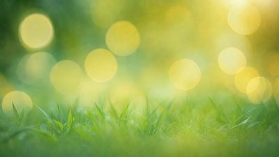 The image features a lush green field with a yellowish hue, creating a warm and inviting atmosphere. The field is filled with bright green grass, and there are several yellow dots scattered throughout the scene. The primary subject of the image is the grassy field, which serves as the backdrop for the yellow dots. The visual style of the image is a mix of photo and digital art, giving it a unique and artistic appearance. The colors and mood of the image are predominantly green and yellow, with a