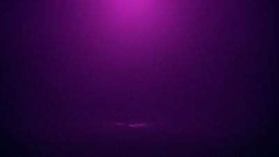 The primary subject of the image is a purple wall. The setting is a dark room with a purple hue. The visual style is a close-up of the purple wall, which creates a moody and atmospheric mood.