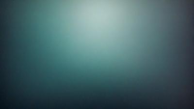 The primary subject of the image is a large, dark green wall. The setting is a room with a green background, and the visual style appears to be a photo. The dominant colors in the image are green, and the overall atmosphere is somewhat mysterious and moody.