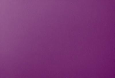 Purple wall with a purple background.
