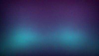 The primary subject of the image is a purple wall. The setting is a room with a purple wall, and the visual style is a photo. The dominant colors in the image are purple and blue, creating a calm and serene atmosphere.