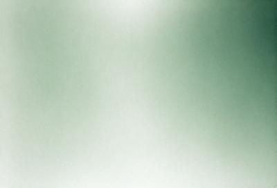 The primary subject of the image is a white wall with a green background. The visual style appears to be a photo, and the colors and mood are predominantly white and green, creating a clean and serene atmosphere.