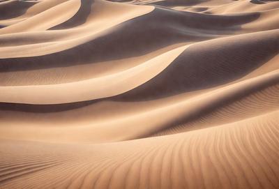 The image features a sandy surface with a pattern of swirls and waves. The primary subject is the sand, which is the main object, scene, or focus of the image. The setting/background is a desert-like environment, with the sand being the primary visual element. The visual style is a close-up of the sand, showcasing its texture and pattern. The colors and mood of the image are predominantly earthy tones, with a sense of tranquility and natural beauty.