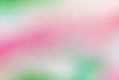 The primary subject of the image is a close-up of a pink flower. The setting is a white background, which creates a clean and minimalist visual style. The colors and mood of the image are predominantly pink, giving it a warm and inviting atmosphere.
