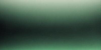 The primary subject of the image is a large, dark green wall. The setting is a room with a green background, and the visual style appears to be a photo. The dominant colors are green, and the overall atmosphere is calm and serene.