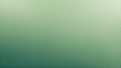 The primary subject of the image is a large, green wall. The setting is a plain, empty room with no other objects or people visible. The visual style is a close-up of the green wall, which gives a sense of depth and texture to the image. The colors and mood are predominantly green, creating a calm and serene atmosphere.