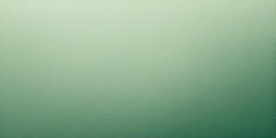 The primary subject of the image is a large, green wall. The setting is a plain, empty room with no other objects or people visible. The visual style is a close-up of the green wall, which gives a sense of depth and texture to the image. The colors and mood are predominantly green, creating a calm and serene atmosphere.
