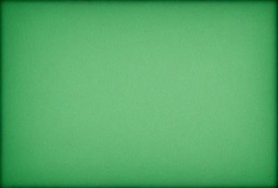 The primary subject of the image is a large, green, textured wall. The setting is a room with a green background, and the visual style appears to be a photo. The dominant colors are green, and the overall atmosphere is calm and serene.