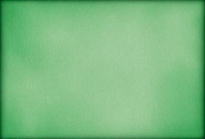 The primary subject of the image is a green background. The setting is a plain, green wall, and the visual style is a photo. The colors and mood of the image are predominantly green, creating a calm and serene atmosphere.