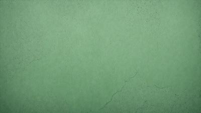 The primary subject of the image is a green wall with a crack in it. The setting is a room with a green wall, and the visual style is a close-up of the wall. The dominant colors are green, and the overall atmosphere is somewhat dull and unappealing.