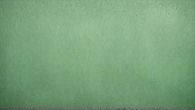 The primary subject of the image is a green wall. The setting is a room with a green wall, and the visual style is a photo. The dominant colors are green, and the overall atmosphere is calm and serene.