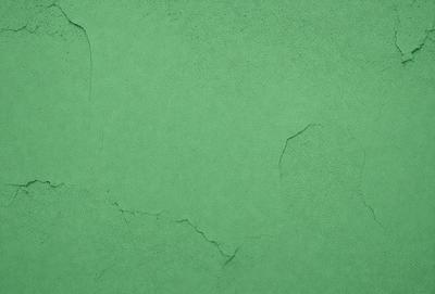 The primary subject of the image is a green wall with a cracked texture. The setting is an outdoor environment, possibly a building or a wall. The visual style is a close-up of the green wall, showcasing its unique texture. The colors and mood of the image are predominantly green, giving it a natural and earthy feel.