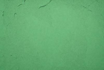 The primary subject of the image is a green wall with a rough texture. The setting is an indoor environment, possibly a room or a building. The visual style is a close-up of the green wall, showcasing its unique texture. The dominant colors are green, with a slightly rough and textured appearance. The overall atmosphere of the image is calm and serene, as the green wall serves as a focal point in the scene.