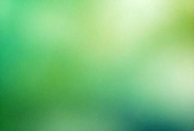 The primary subject of the image is a close-up of a green leaf. The setting is a green background, which creates a natural and vibrant atmosphere. The visual style is a photo, capturing the intricate details of the leaf. The colors and mood are predominantly green, with a sense of freshness and vitality.