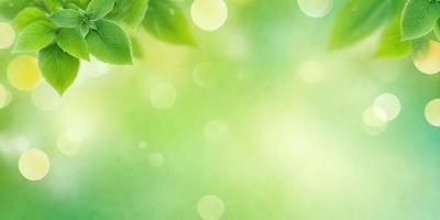 The primary subject of the image is a leaf, which is the main object in the scene. The leaf is situated on a green background, which suggests a natural environment. The visual style of the image is a photo, capturing the leaf in its natural setting. The dominant colors in the image are green, which creates a calm and serene atmosphere.