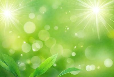 The primary subject of the image is a leaf, which is the main object in the scene. The leaf is situated in a green, leafy environment, which serves as the background. The visual style of the image is a photo, capturing the leaf in its natural setting. The colors in the image are predominantly green, creating a calm and serene atmosphere.