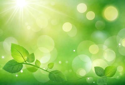 The primary subject of the image is a leaf, which is the main object, scene, or focus of the image. The leaf is green and is surrounded by a bright green background. The visual style of the image is a photo, capturing the leaf in its natural environment. The colors and mood of the image are vibrant and lively, with the green leaf standing out against the bright green background.