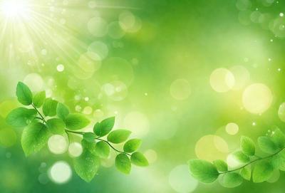 The primary subject of the image is a close-up of a leaf, which is the main object in the scene. The leaf is green and appears to be a part of a larger plant. The setting is a bright, sunny environment, with the leaf being the main focus of the image. The visual style is a close-up of the leaf, which gives the image a natural and detailed appearance. The colors in the image are predominantly green, which creates a calm and serene atmosphere.
