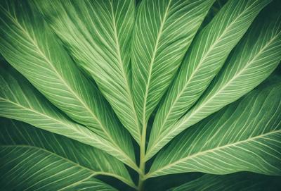 The image features a large green leaf with a patterned texture. The leaf is prominently displayed in the foreground, covering a significant portion of the image. The leaf's vibrant green color and intricate pattern create a visually appealing and natural atmosphere.