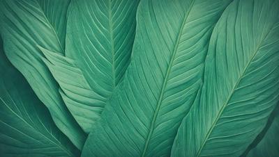 The image features a large green leaf, possibly a palm leaf, with a close-up view of its texture. The leaf is the primary subject of the image, and it is set against a green background. The visual style of the image is a close-up of the leaf, showcasing its intricate details. The colors and mood of the image are predominantly green, creating a serene and natural atmosphere.