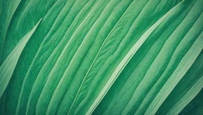 The image features a large green leaf, possibly a plant or a piece of art, with a close-up view of the leaf. The leaf is the primary subject of the image, and it appears to be the main focus of the scene. The leaf is set against a background of greenery, creating a natural and vibrant atmosphere. The visual style of the image is a close-up of the leaf, which gives it a detailed and realistic appearance. The colors and mood of the image are predominantly green, which adds