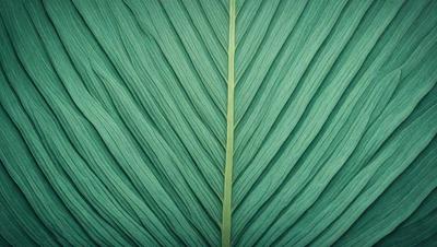 The image features a large green leaf with a pattern of white stripes. The leaf is prominently displayed, covering a significant portion of the image. The leaf appears to be a part of a plant, possibly a tree, and its vibrant green color and white stripes create a visually appealing and natural scene.