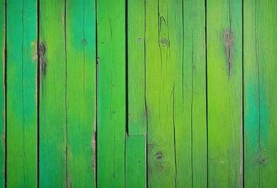 The primary subject of the image is a green wooden floor. The setting is a room with a green wooden floor, and the visual style is a photo. The colors and mood of the image are predominantly green, creating a calm and serene atmosphere.