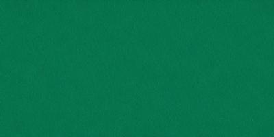 The primary subject of the image is a green cloth, which is the main object, scene, or focus of the image. The setting or background is a green cloth, and the visual style is a photo. The dominant colors and overall atmosphere are green, suggesting a calm and soothing environment.