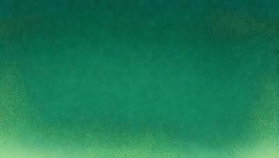 The primary subject of the image is a large, bright green surface. The setting appears to be a body of water, possibly an ocean or a large lake. The visual style of the image is a close-up of the green surface, which gives it a vibrant and lively appearance. The colors and mood of the image are predominantly green, creating a sense of tranquility and natural beauty.