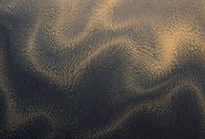 The primary subject of the image is a close-up of a patterned surface, which appears to be a black and gold design. The setting is a dark background, which contrasts with the patterned surface. The visual style of the image is a close-up of a textured surface, possibly a piece of art or a design element. The colors and mood of the image are predominantly dark, with the gold and black colors creating a sense of depth and intrigue.