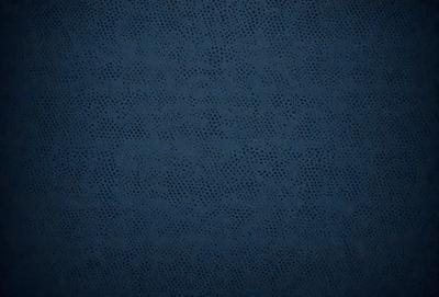 The primary subject of the image is a blue background with a pattern of small circles. The setting is a dark blue background, and the visual style appears to be a pattern or texture. The dominant colors are blue and black, creating a moody atmosphere.
