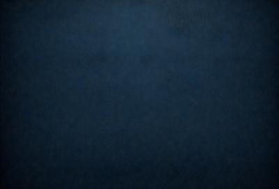 The primary subject of the image is a dark blue background. The setting is a black background, which creates a dramatic and moody atmosphere. The visual style is a simple, monochromatic design. The colors and mood are predominantly dark and mysterious.