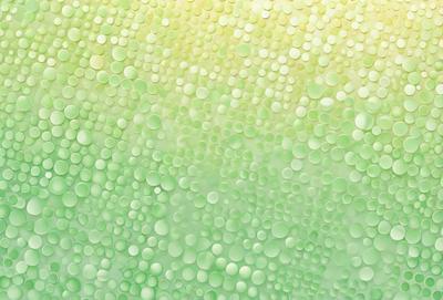 The primary subject of the image is a green background with a pattern of small, round, green circles. The setting appears to be a wall or a surface with a green hue. The visual style of the image is a close-up of the green circles, which gives it a digital art or illustration appearance. The colors and mood of the image are predominantly green, creating a calm and soothing atmosphere.