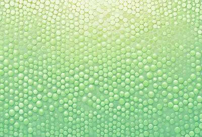 The primary subject of the image is a green background with a pattern of small circles. The setting is a close-up of the green background, which creates a visually interesting and unique pattern. The visual style is a close-up of the green background, which gives the image a close-up and detailed appearance. The colors and mood of the image are predominantly green, creating a calm and soothing atmosphere.