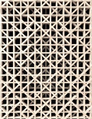 The primary subject of the image is a white lattice pattern, which is the main object, scene, or focus of the image. The setting or background features a black background, which contrasts with the white lattice pattern. The visual style of the image is a photo, showcasing the intricate details of the lattice pattern. The colors and mood of the image are predominantly white and black, creating a clean and minimalist aesthetic.