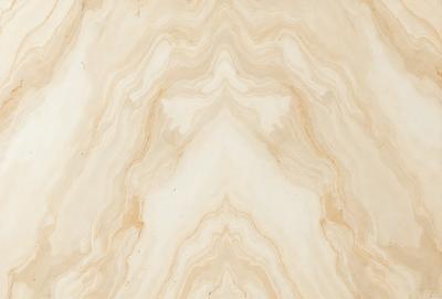 The primary subject of the image is a close-up of a marble surface with a pattern of swirls and grooves. The setting is a natural environment, possibly a stone or marble countertop. The visual style is a close-up of the marble surface, showcasing the intricate patterns and textures. The colors and mood of the image are predominantly neutral, with the marble surface being the main focus.