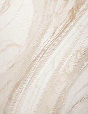 The primary subject of the image is a marble wall with a patterned design. The setting is a room with a white marble wall, and the visual style is a close-up of the wall. The colors and mood of the image are predominantly white, giving it a clean and elegant appearance.