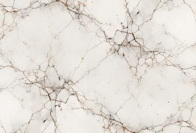 The image features a white marble wall with a pattern of holes and cracks. The wall appears to be a part of a building, possibly a bathroom or a kitchen. The marble surface gives the wall a unique and elegant appearance. The overall atmosphere of the image is clean and sophisticated, with the white marble wall serving as a striking focal point.