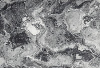 The image features a black and white marble pattern, which gives it a classic and elegant appearance. The marble pattern is the primary subject of the image, and it is set against a black background. The visual style of the image is a close-up of the marble pattern, showcasing its intricate details. The colors and mood of the image are predominantly black and white, creating a timeless and sophisticated atmosphere.