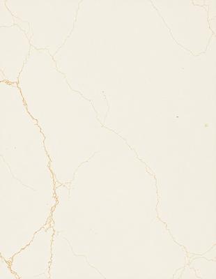The primary subject of the image is a white marble wall with a gold-colored texture. The setting is a room with a white marble floor. The visual style is a combination of a photo and a drawing, creating a unique and artistic representation of the marble wall. The colors and mood of the image are predominantly white and gold, giving it a luxurious and elegant appearance.