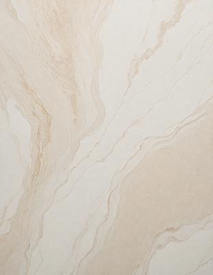 The primary subject of the image is a marble wall with a patterned design. The setting is a room with a white background. The visual style is a close-up of the marble wall, showcasing its intricate pattern. The colors and mood of the image are predominantly white, giving it a clean and elegant appearance.