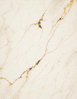 The primary subject of the image is a marble wall with a gold-colored vein running through it. The setting is a room with a white marble surface, which adds to the elegance of the scene. The visual style is a close-up of the marble wall, showcasing the intricate details of the vein. The colors and mood of the image are predominantly white and gold, creating a sense of luxury and sophistication.