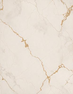 The primary subject of the image is a marble wall with a gold-colored pattern. The setting is a room with a white marble surface. The visual style is a close-up of the marble wall, showcasing its intricate design. The colors and mood of the image are predominantly white and gold, giving it a luxurious and elegant appearance.