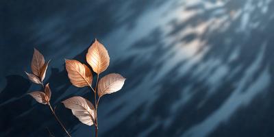 The primary subject of the image is a single leaf, which is the main object, scene, or focus of the image. The leaf is placed against a blue wall, creating a contrasting backdrop. The visual style of the image is a photo, capturing the leaf in its natural setting. The colors in the image are predominantly blue and brown, giving the scene a calm and serene atmosphere.