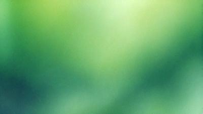 The primary subject of the image is a close-up of a green leaf. The setting is a lush green forest, with the leaf being the main focus of the image. The visual style is a photo, capturing the intricate details of the leaf. The colors and mood of the image are predominantly green, creating a serene and natural atmosphere.