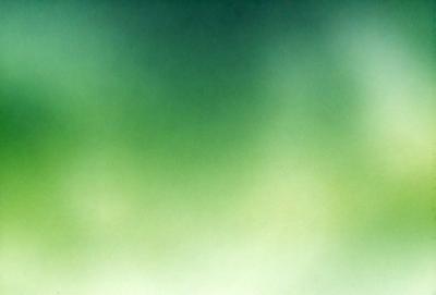 The primary subject of the image is a green background, which appears to be a pattern or a texture. The setting or background is a green environment, possibly a forest or a field. The visual style of the image is a close-up of the green background, which gives it a unique and artistic appearance. The colors and mood of the image are predominantly green, creating a calm and serene atmosphere.