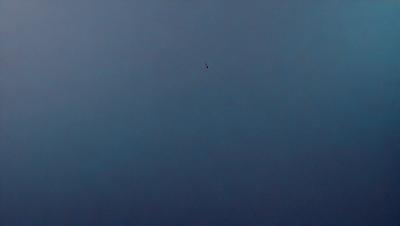 The primary subject of the image is a bird flying high in the sky. The bird is positioned towards the center of the image, with its wings spread out. The setting is a vast, open sky, which provides a sense of freedom and space. The visual style of the image is a photo, capturing the bird in its natural environment. The colors in the image are predominantly shades of blue, creating a calm and serene atmosphere.