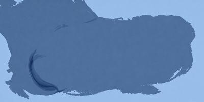 The primary subject of the image is a blue background with a white, blurry, and somewhat distorted face. The setting appears to be a blue sky, and the visual style is a combination of a photo and a drawing. The colors and mood of the image are predominantly blue and somewhat mysterious, with the white face adding a contrasting element to the overall atmosphere.