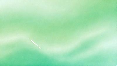 The primary subject of the image is a long, thin object floating in a large body of water. The setting is a vast, open water surface, and the visual style appears to be a combination of a photo and a drawing. The colors in the image are predominantly green, creating a serene and calming atmosphere.